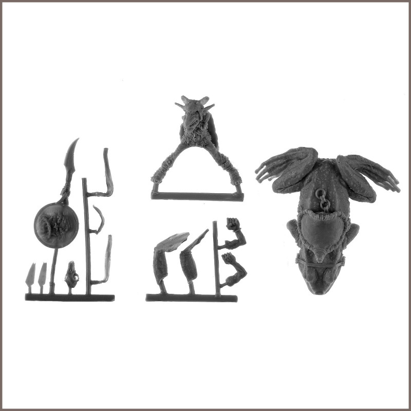 SQUARG the Frog Rider