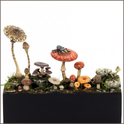 kit de champignons pour décor de figurine sculptée par Stéphane CAMOSSETO